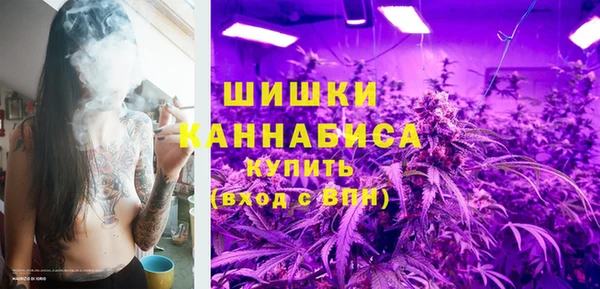 трава Новодвинск