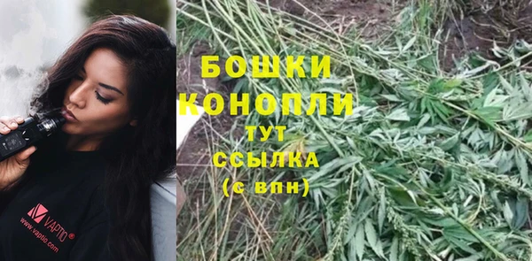 хмурый Балабаново